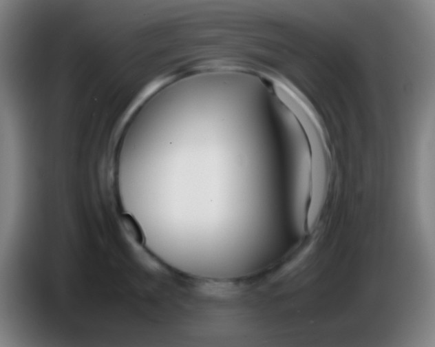 X0000085310909200703302020