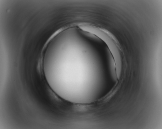 X0000085310910200703302020