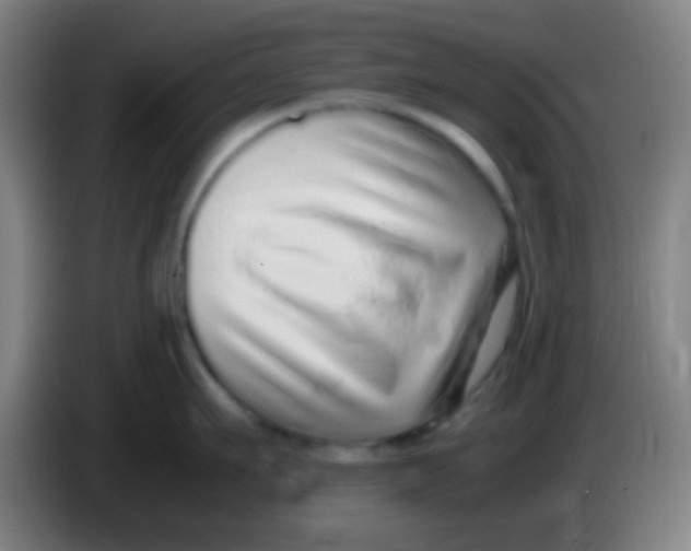 X0000085310911200703302020