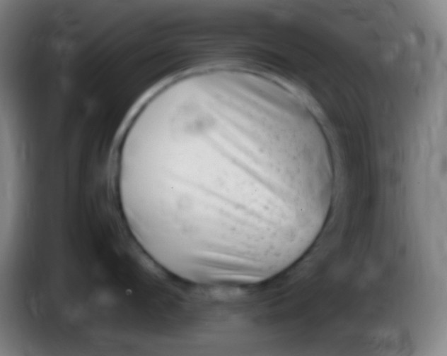 X0000085310912200703302020