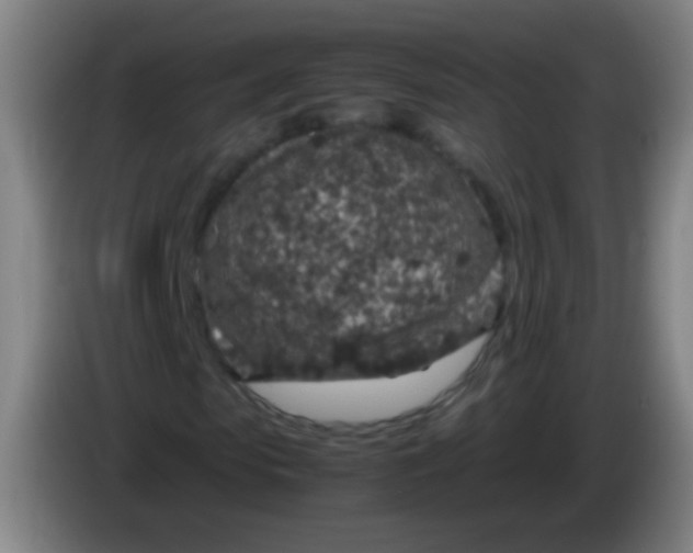 X0000085310913200703302019