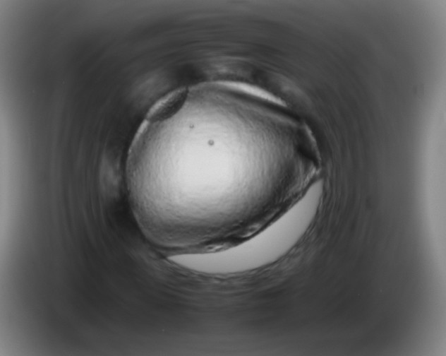 X0000085310915200703302019