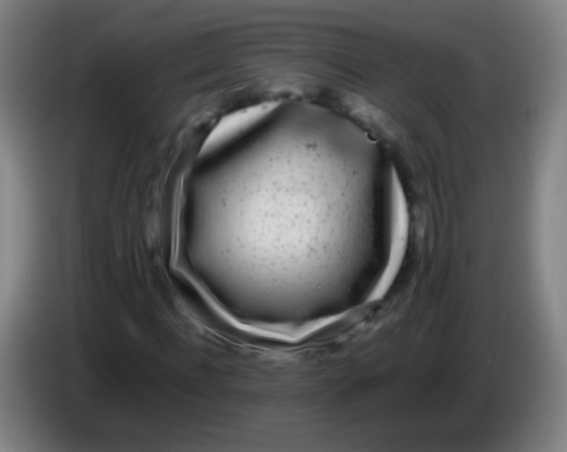 X0000085310916200703302019