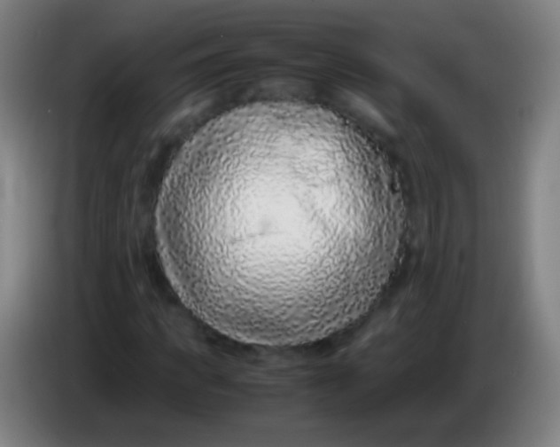 X0000085310917200703302019