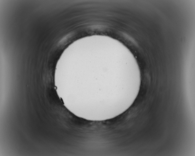 X0000085310918200703302019