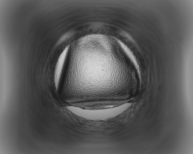 X0000085310919200703302019