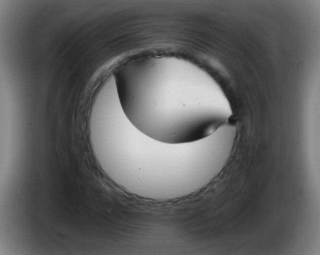 X0000085310920200703302019