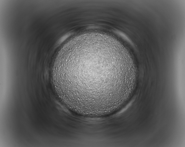 X0000085310921200703302019