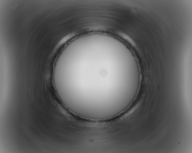 X0000085310922200703302019