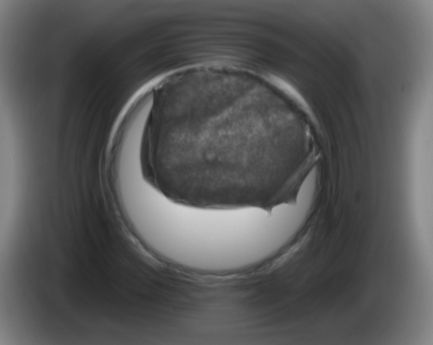 X0000085310924200703302019