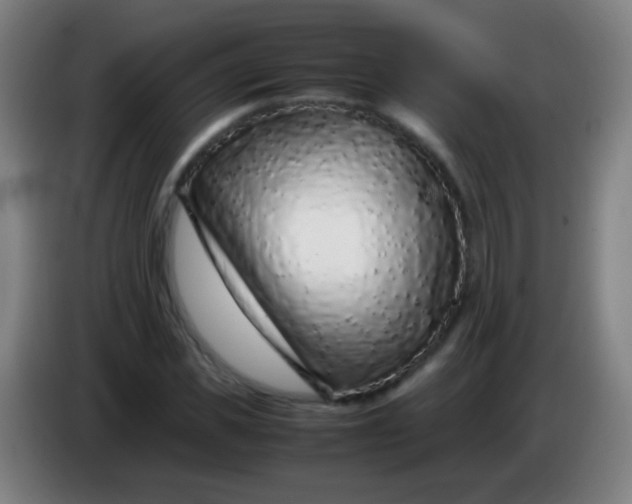 X0000085310925200703302019