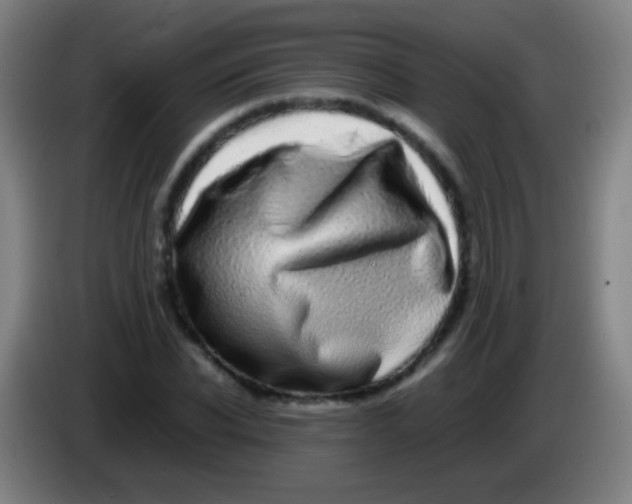 X0000085310926200703302019