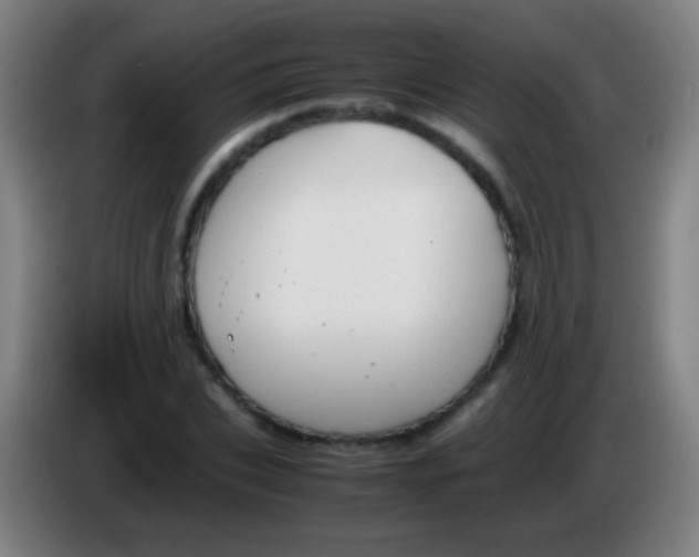 X0000085310927200703302019