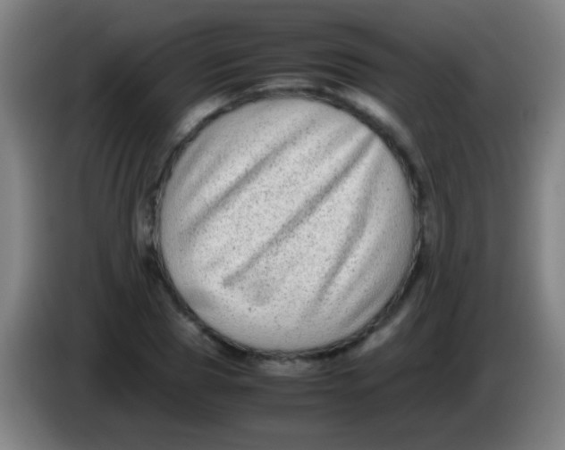 X0000085310929200703302019