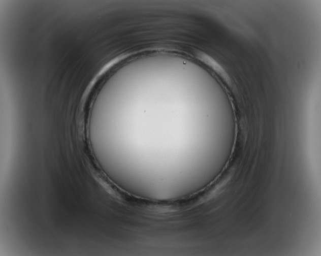 X0000085310931200703302019