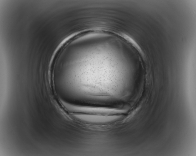 X0000085310932200703302019