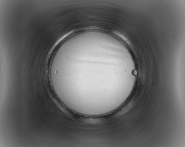 X0000085310933200703302019