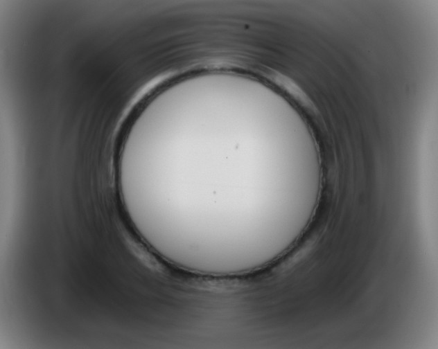 X0000085310934200703302019