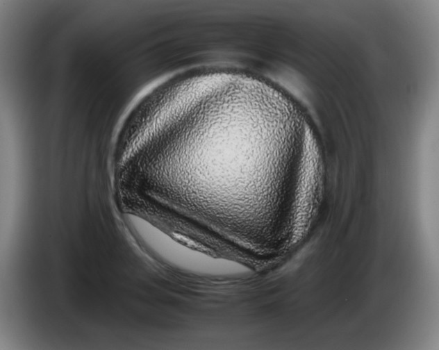 X0000085310935200703302019