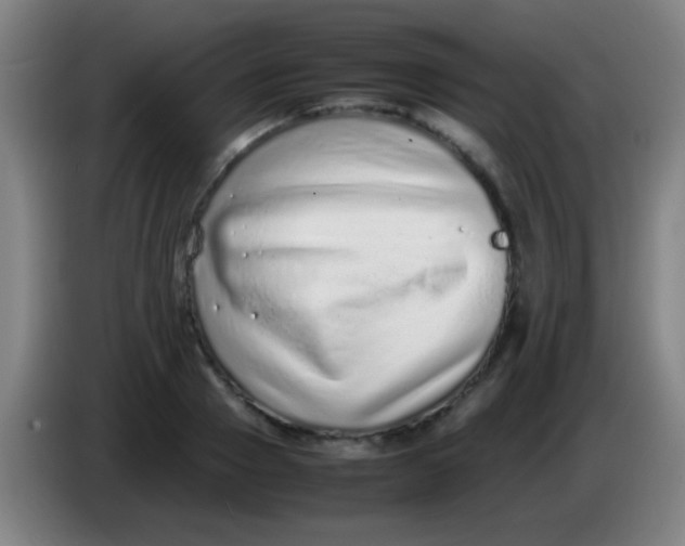 X0000085310937200703302019