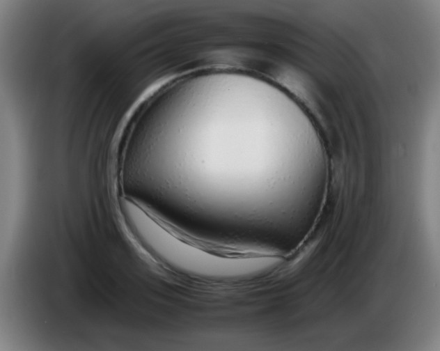 X0000085310939200703302019