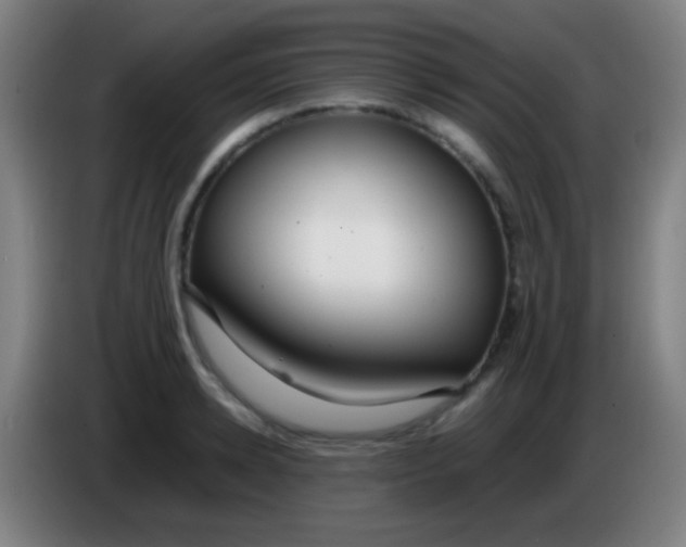 X0000085310942200703302019