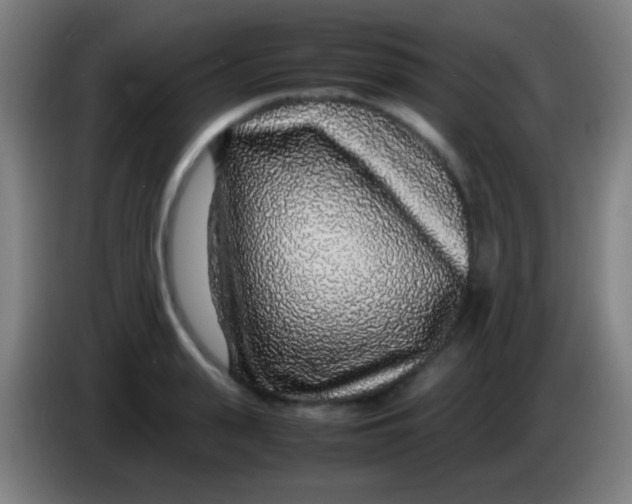 X0000085310943200703302019