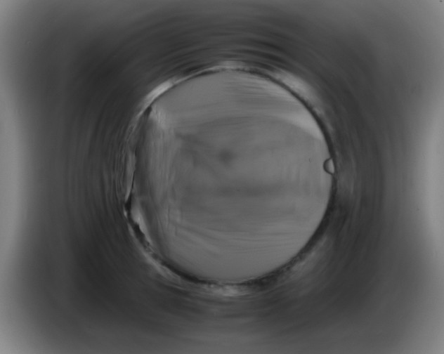 X0000085310945200703302019