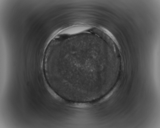 X0000085310946200703302019