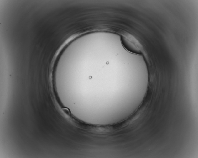 X0000085310947200703302019