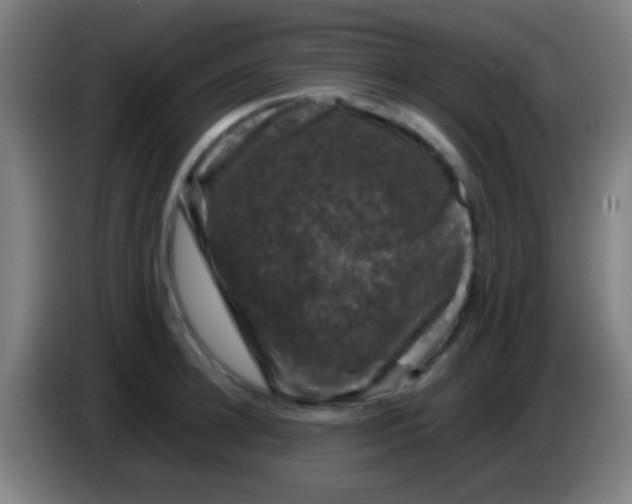 X0000085310948200703302019