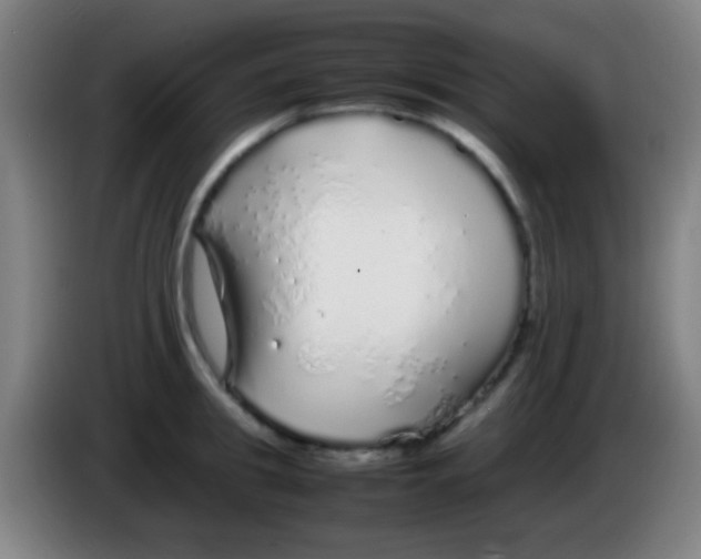 X0000085310949200703302019