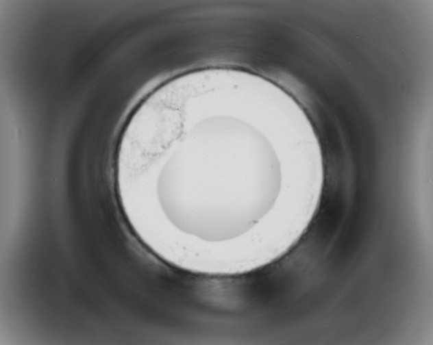 X0000085310950200703302019