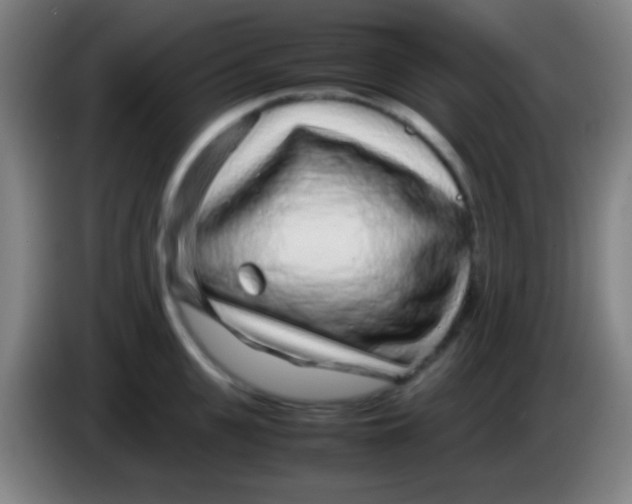 X0000085310951200703302020