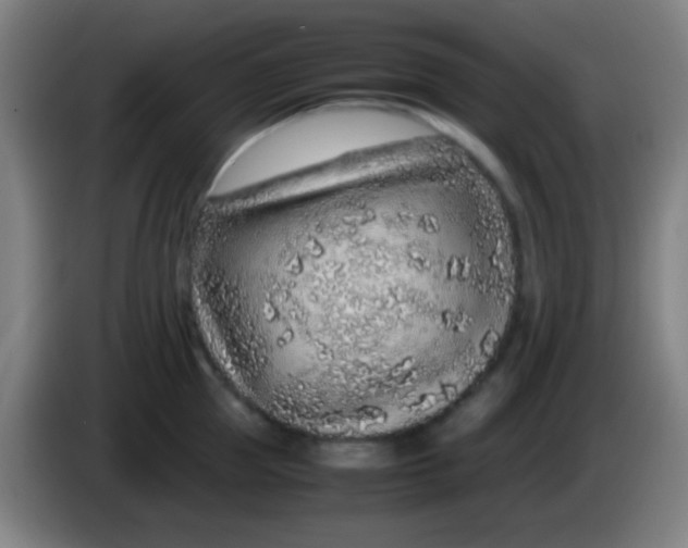 X0000085310953200703302020