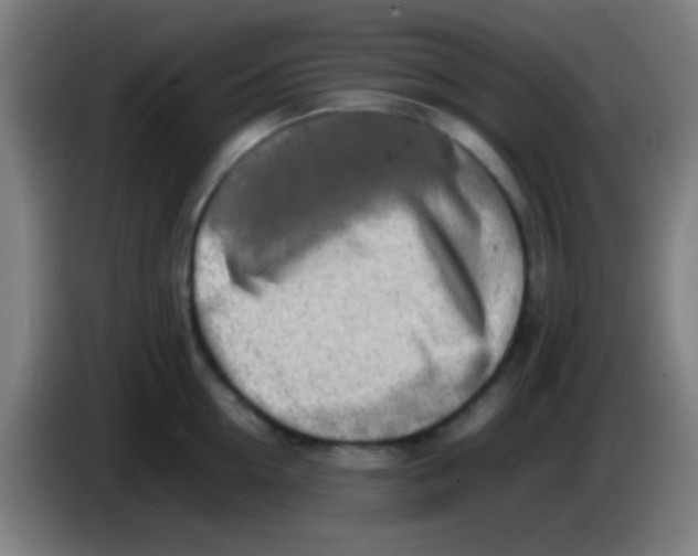 X0000085310954200703302020