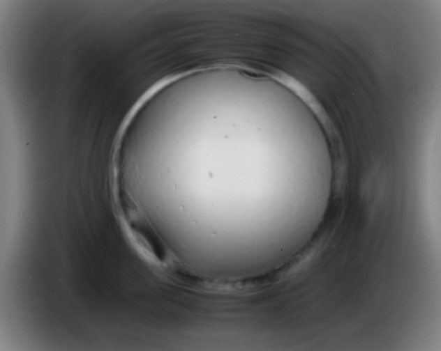 X0000085310955200703302020