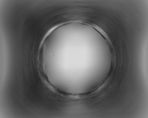 X0000085310956200703302020