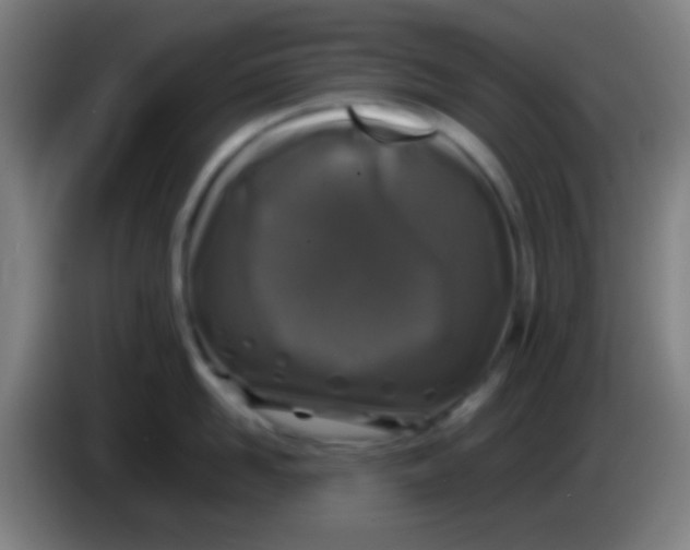 X0000085310958200703302020