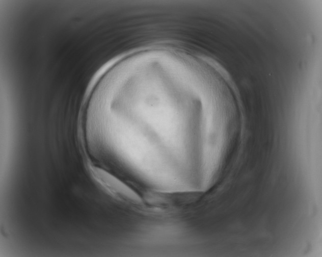 X0000085310960200703302020