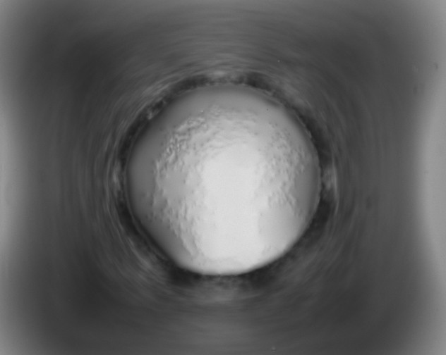 X0000085310963200703302019