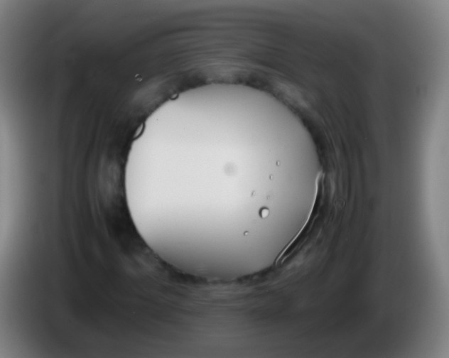 X0000085310964200703302019