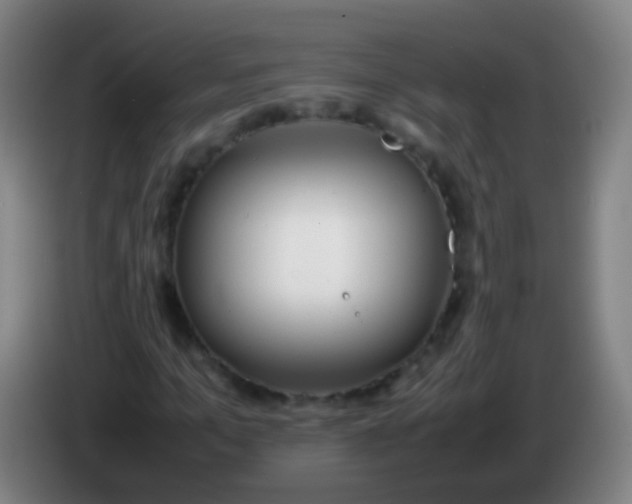 X0000085310965200703302019