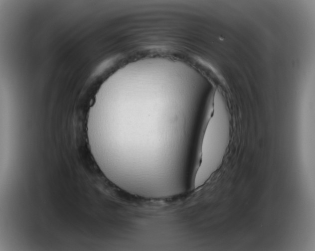 X0000085310968200703302019