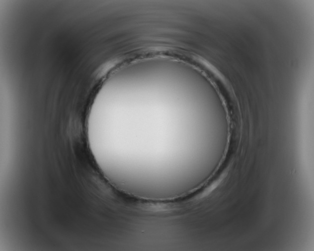 X0000085310969200703302019