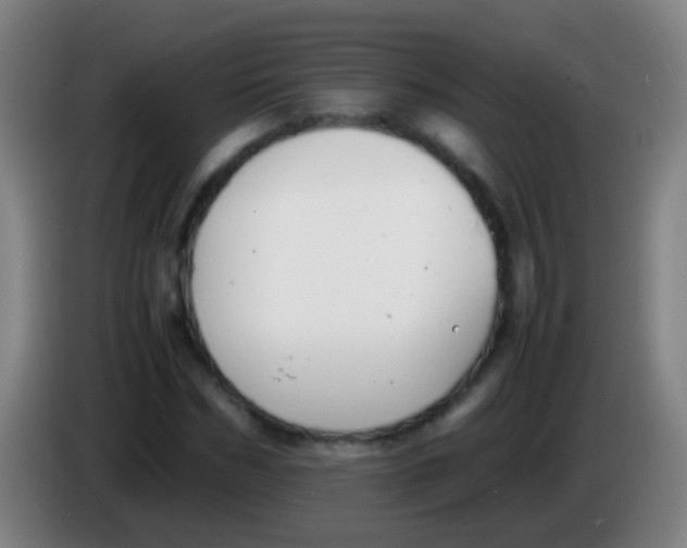 X0000085310970200703302019