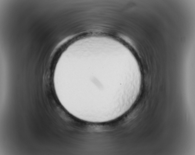 X0000085310971200703302019