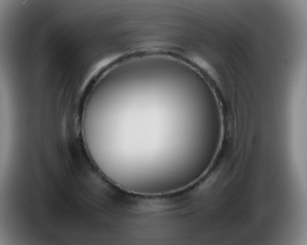 X0000085310973200703302019