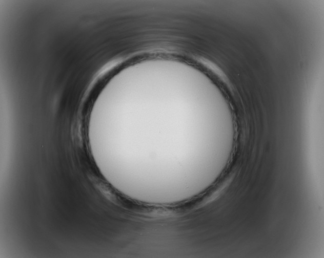 X0000085310974200703302019