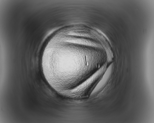 X0000085310975200703302019